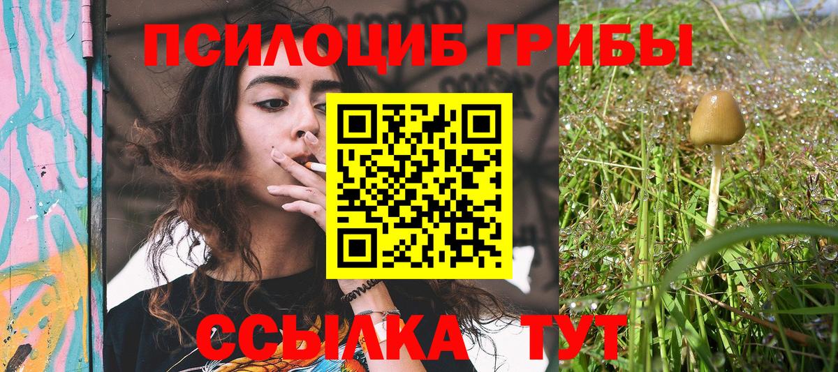 Галлюциногенные грибы Psilocybe Батайск