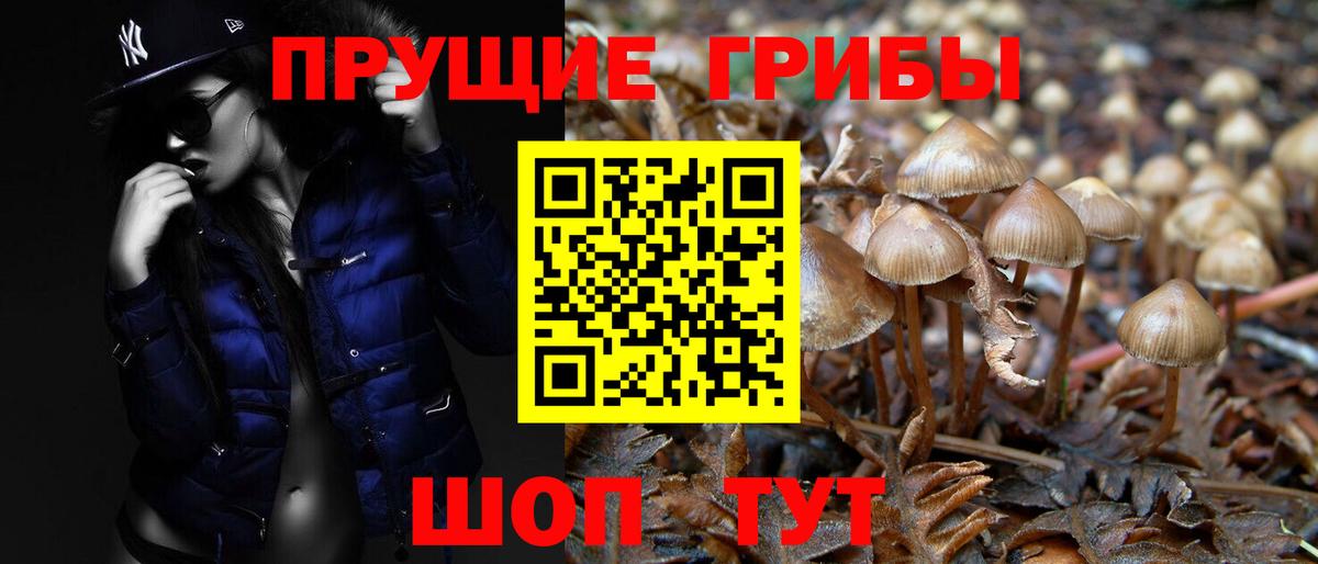 Батайск  Галлюциногенные грибы Psilocybine cubensis  Вход с VPN  Галлюциногенные грибы прущие грибы 