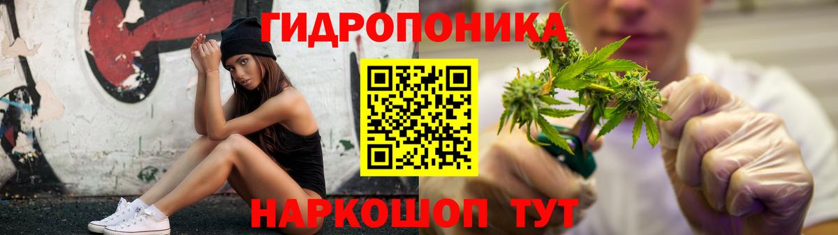 Канабис OG Kush Батайск